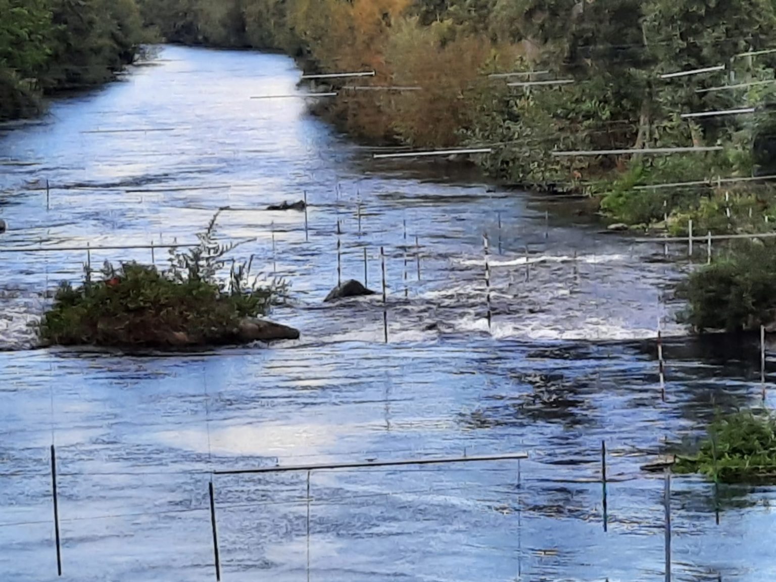 EauVive à Val de Reuil Club du Bac canoëkayak